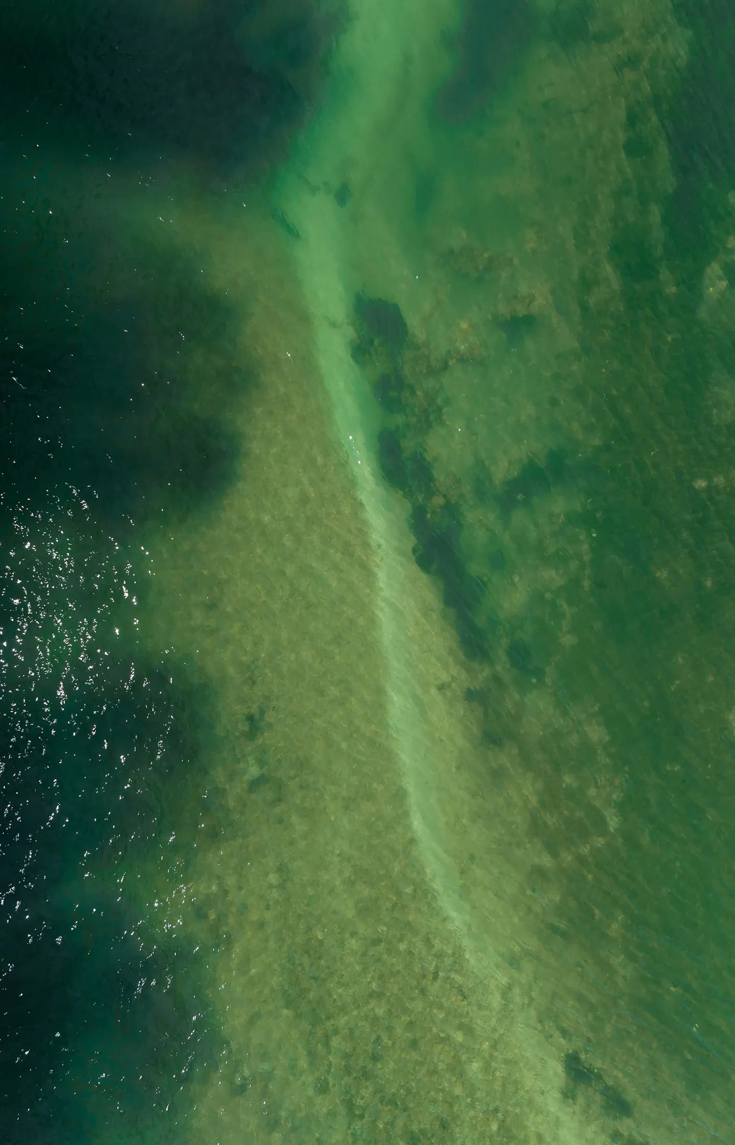 The Spark Background