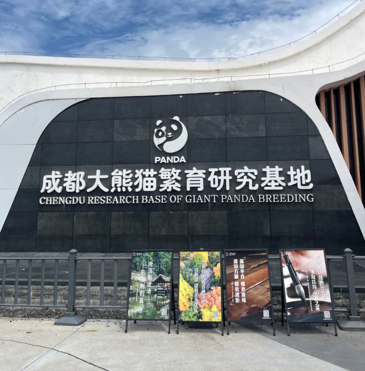 Chengdu Panda Base: Visitor's Guide